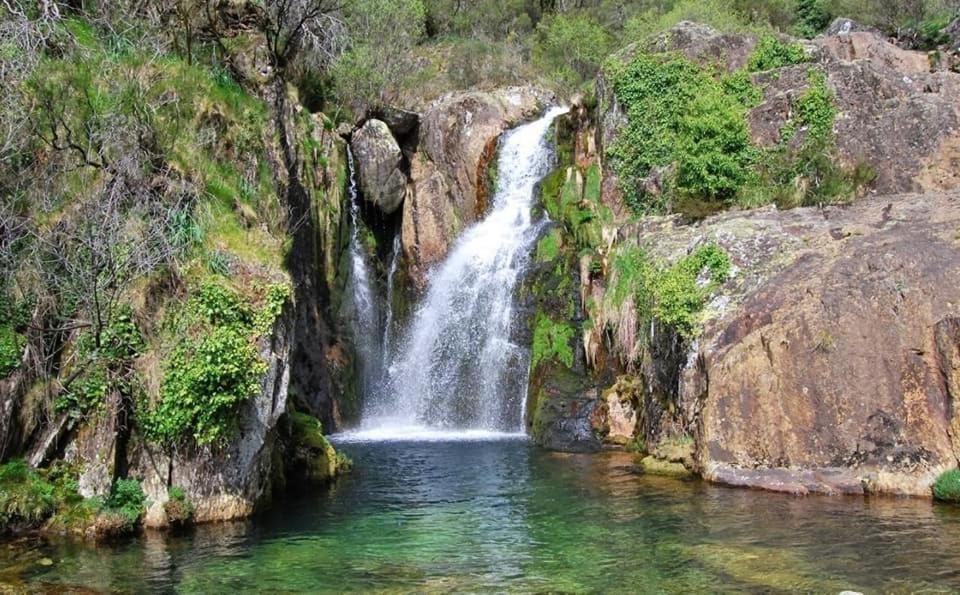 Casa Do Sobrado Arouca Villa Ngoại thất bức ảnh