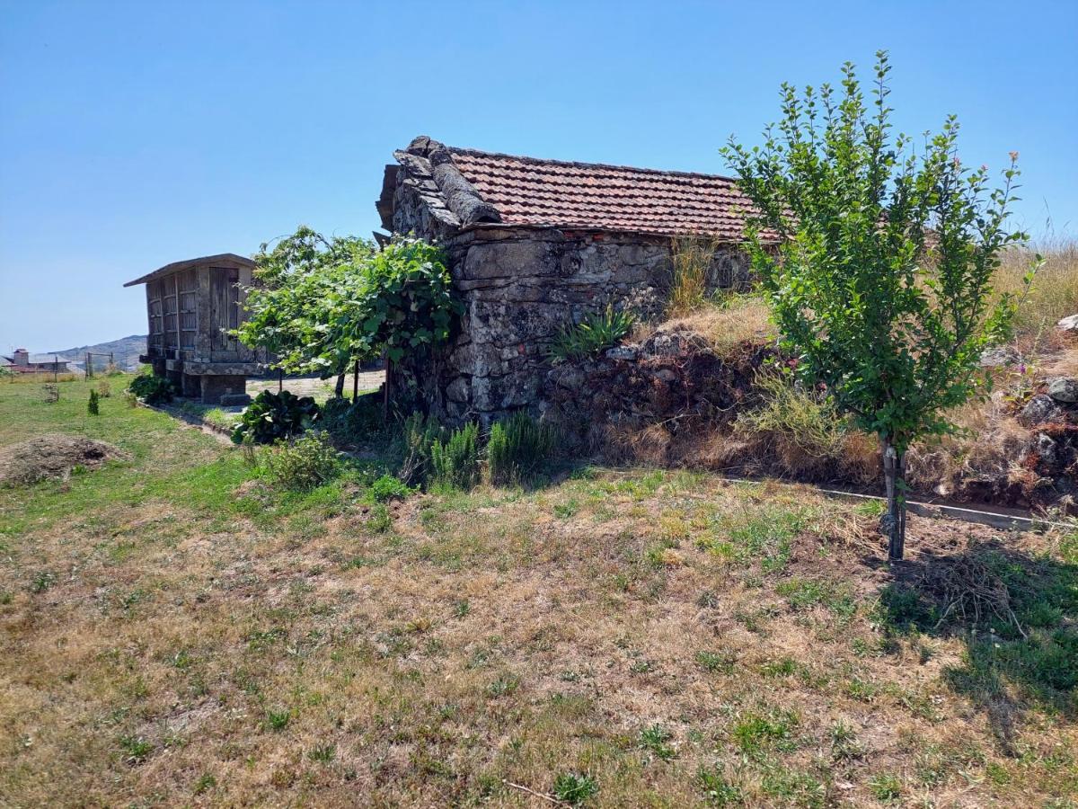 Casa Do Sobrado Arouca Villa Ngoại thất bức ảnh